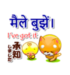ネパール語,英語,日本語.コタとピヨ（個別スタンプ：15）