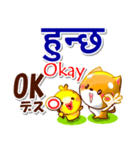 ネパール語,英語,日本語.コタとピヨ（個別スタンプ：16）