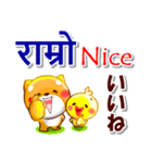 ネパール語,英語,日本語.コタとピヨ（個別スタンプ：17）