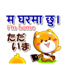 ネパール語,英語,日本語.コタとピヨ（個別スタンプ：23）