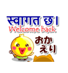 ネパール語,英語,日本語.コタとピヨ（個別スタンプ：24）