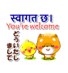 ネパール語,英語,日本語.コタとピヨ（個別スタンプ：27）