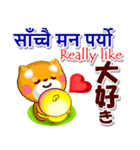 ネパール語,英語,日本語.コタとピヨ（個別スタンプ：31）
