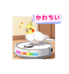 オカメインコのチーちゃんのご挨拶3（個別スタンプ：1）