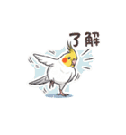 オカメインコのチーちゃんのご挨拶3（個別スタンプ：3）
