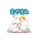 オカメインコのチーちゃんのご挨拶3（個別スタンプ：4）