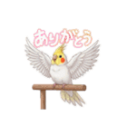 オカメインコのチーちゃんのご挨拶3（個別スタンプ：8）