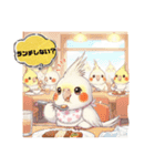 オカメインコのチーちゃんのご挨拶3（個別スタンプ：12）
