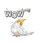 オカメインコのチーちゃんのご挨拶3（個別スタンプ：13）