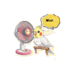 オカメインコのチーちゃんのご挨拶3（個別スタンプ：14）