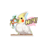 オカメインコのチーちゃんのご挨拶3（個別スタンプ：16）