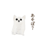 手描き小動物(武蔵小杉事業所）（個別スタンプ：1）