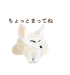 手描き小動物(武蔵小杉事業所）（個別スタンプ：6）