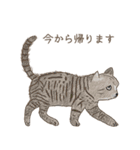 手描き小動物(武蔵小杉事業所）（個別スタンプ：7）