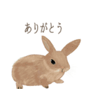 手描き小動物(武蔵小杉事業所）（個別スタンプ：11）
