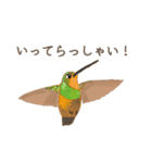 手描き小動物(武蔵小杉事業所）（個別スタンプ：15）