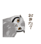 手描き小動物(武蔵小杉事業所）（個別スタンプ：20）
