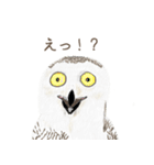手描き小動物(武蔵小杉事業所）（個別スタンプ：21）