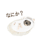 手描き小動物(武蔵小杉事業所）（個別スタンプ：23）