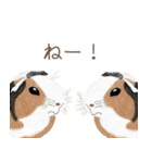 手描き小動物(武蔵小杉事業所）（個別スタンプ：28）
