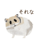 手描き小動物(武蔵小杉事業所）（個別スタンプ：29）