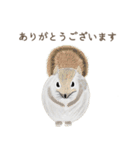 手描き小動物(武蔵小杉事業所）（個別スタンプ：31）