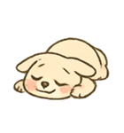 おちゃめフレブルオタちゃん（個別スタンプ：21）