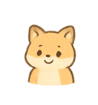 まんまるキツネ MochiFox（個別スタンプ：5）