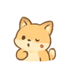 まんまるキツネ MochiFox（個別スタンプ：7）
