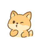 まんまるキツネ MochiFox（個別スタンプ：13）