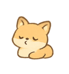 まんまるキツネ MochiFox（個別スタンプ：14）