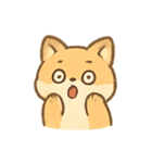 まんまるキツネ MochiFox（個別スタンプ：16）