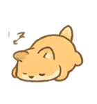 まんまるキツネ MochiFox（個別スタンプ：17）