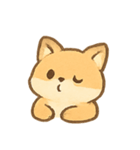 まんまるキツネ MochiFox（個別スタンプ：18）