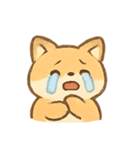 まんまるキツネ MochiFox（個別スタンプ：19）