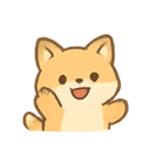 まんまるキツネ MochiFox（個別スタンプ：20）