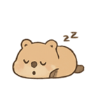 ごきげんクオッカ Quokki（個別スタンプ：3）
