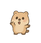 ごきげんクオッカ Quokki（個別スタンプ：5）