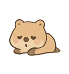 ごきげんクオッカ Quokki（個別スタンプ：10）