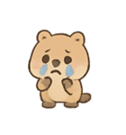 ごきげんクオッカ Quokki（個別スタンプ：13）