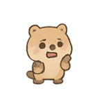 ごきげんクオッカ Quokki（個別スタンプ：19）