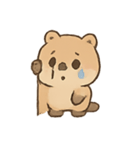 ごきげんクオッカ Quokki（個別スタンプ：24）