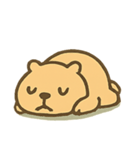 チルカピ のんびりカピバラ（個別スタンプ：11）