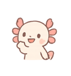 ごきげんウーパールーパーAxola（個別スタンプ：1）