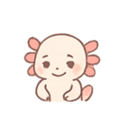 ごきげんウーパールーパーAxola（個別スタンプ：19）