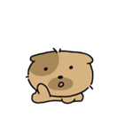 かわいい子犬ワンパンドク（個別スタンプ：5）