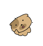 かわいい子犬ワンパンドク（個別スタンプ：8）
