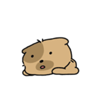 かわいい子犬ワンパンドク（個別スタンプ：11）