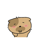 かわいい子犬ワンパンドク（個別スタンプ：13）