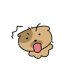 かわいい子犬ワンパンドク（個別スタンプ：19）